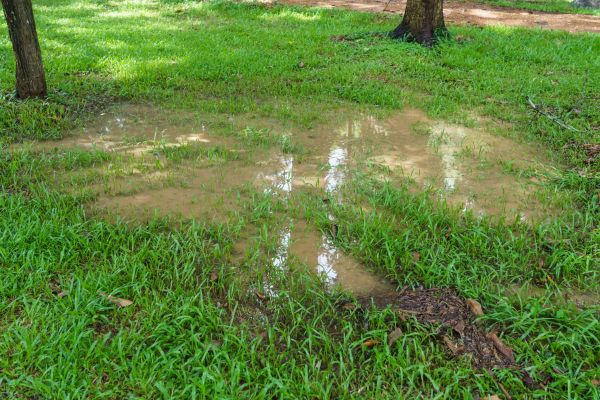 Storm Water Drainage Service in Cave Creek