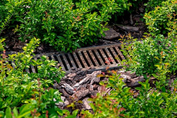 Cost of Underground Drainage Service in Cave Creek