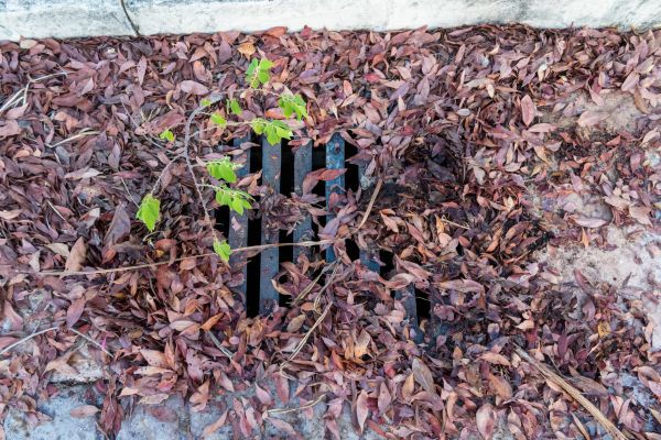 Cost of Yard Drain Unclogging in Cave Creek