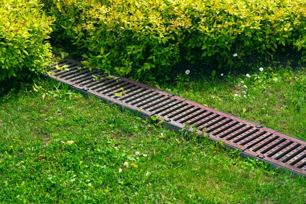 Lawn Drainage in Cave Creek