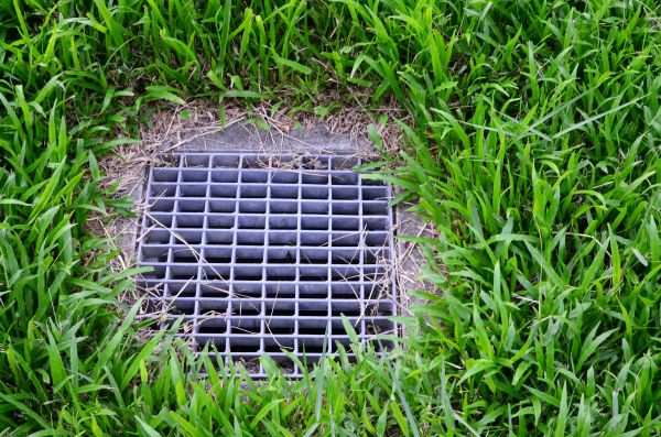 Cost of Yard Drainage Service in Cave Creek