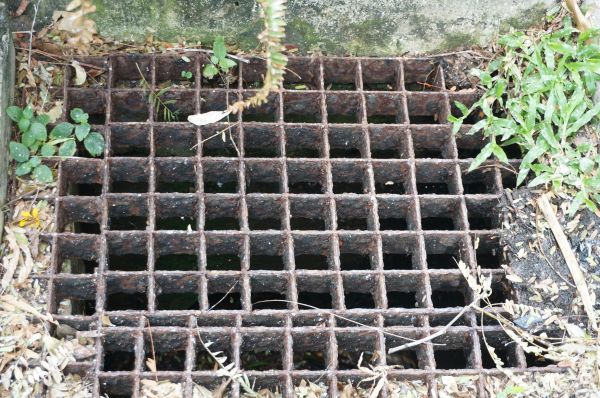 Cost of Yard Drain Cleaning in Cave Creek
