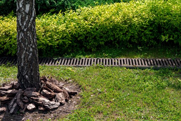 Cost of Garden Drainage Installation in Cave Creek