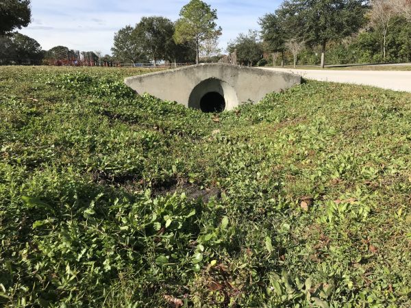 Cost of Swale Drainage Service in Cave Creek